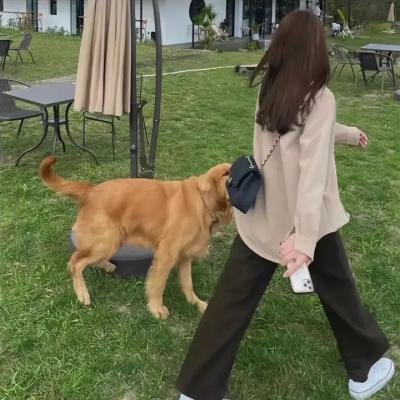 我的鬼情人