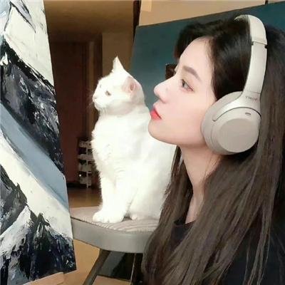 黑色的风采