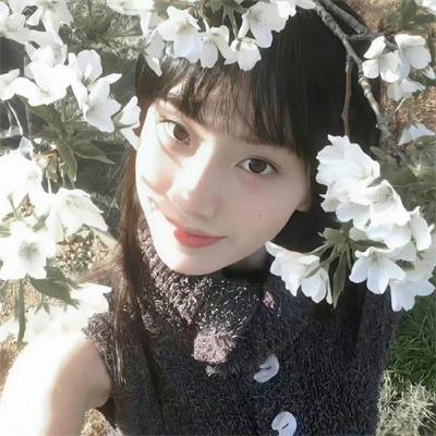 亲爱的总理